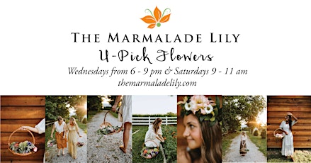 U-Pick Flower Saturdays at The Marmalade Lily