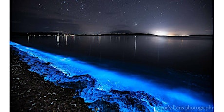 Our Glow-in-the-dark neighbors: Living light in the Pacific Northwest