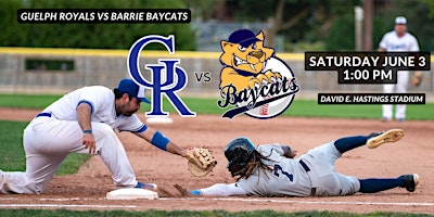 Barrie Baycats @ Guelph Royals primary image