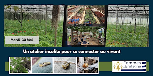 Image principale de Nantes  sud propose : Un atelier insolite pour se connecter au vivant