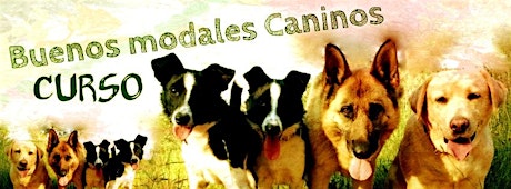 Imagen principal de CURSO de Buenos Modales Caninos BARCELONA