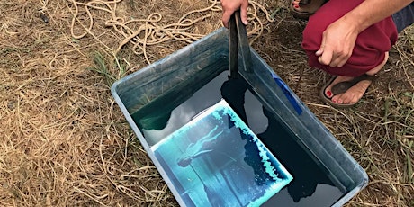 Cyanotypes: Sun Prints!