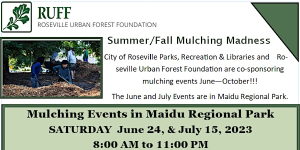 Mulching Madness in Roseville