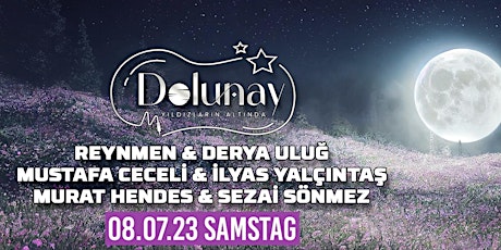 Dolunay Sommer Festival