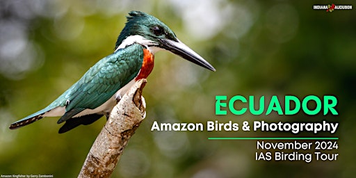 Imagem principal do evento Indiana Audubon 2024 Ecuador Amazon Tour