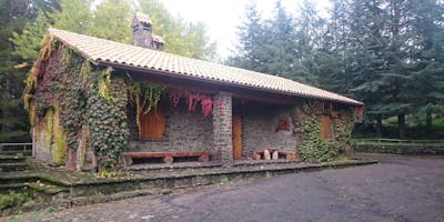 Autunno sull'Etna: il bosco di Centorbi e Monte Minardo Autunno sull'Etna: il bosco di Centorbi e Monte Minardo