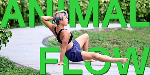 Primaire afbeelding van Animal Flow Full Body Workout 動物流全身健身運動