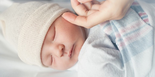Primaire afbeelding van Virtual Birth, Baby and Breastfeeding Courses
