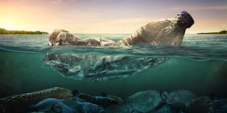 The Age of Plastics Meets the Age of Invasions