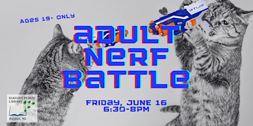 Imagem principal de Adult NERF Battle