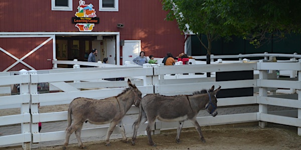 Cosley Zoo Picnic with the Animals - 2023