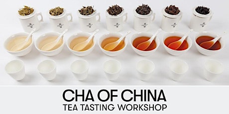 CHA OF CHINA | Tasting workshop of 6 categories of Chinese tea