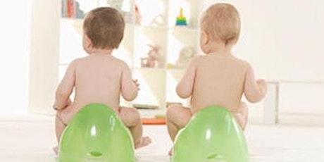 Toilet Training & Toddler hood with Twins: Tips & Tricks primary image