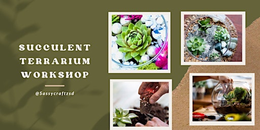 succulent Terrarium primary image