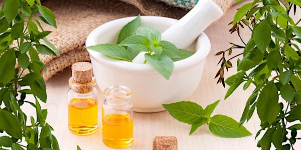 Herbal Oils and Balm Workshop