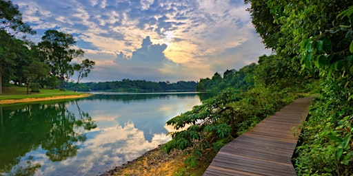MacRitchie Reservoir To Bukit Timah Hike! primary image