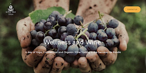 Imagen principal de Wellness & Wine Day
