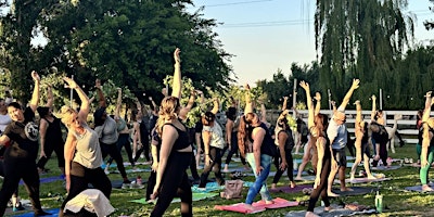 Hauptbild für Wine Down with Alpaca Yoga