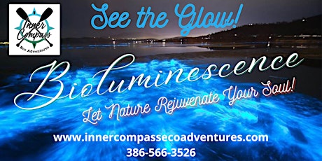 Bioluminescence Paddle Tour 2023