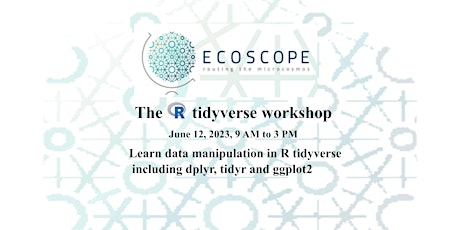 Intro to R and the Tidyverse free workshop primary image
