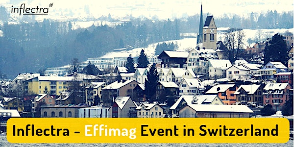 Inflectra/Effimag Event in Switzerland