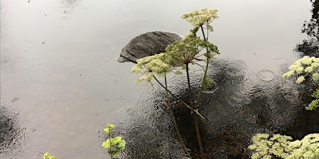 XI Strathclyde Postgraduate Colloquium of Environmental Law & Governance primary image