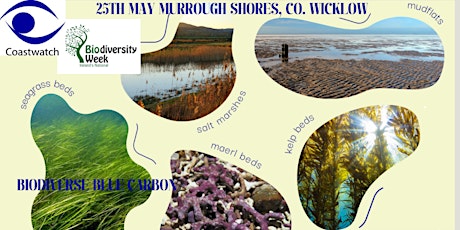 Primaire afbeelding van Explore the Murrough Shores of Co. Wicklow