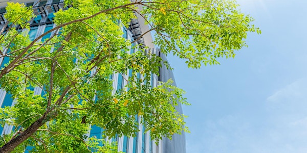 Low Carbon City – Next step for energy efficiency and heat supply