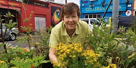 Free Herb Walk with Dr Dilis Clare GP & Medical Herbalist