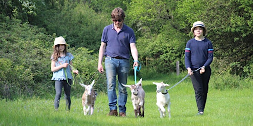 Hauptbild für Goat Walking Experience