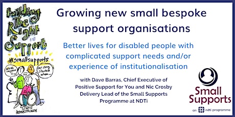 Image principale de Growing new small bespoke support organisations