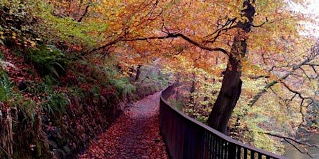 Mindful Autumn Walk - River Kelvin primary image