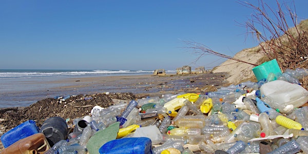 The Price of Plastic - Low Carbon Innovation