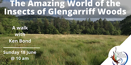 The Amazing World of the Insects of Glengarriff Woods primary image