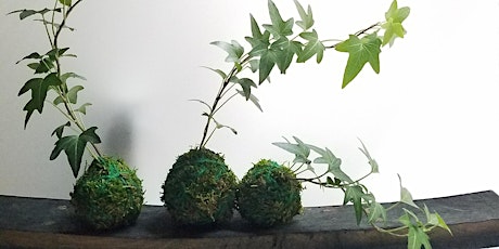 Kokedama : Learn to make your own Japanese Floating Garden