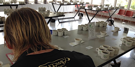 Cupping Coffee with Muggswigz Coffee & Tea primary image