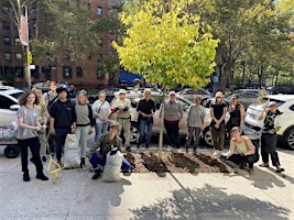 Primaire afbeelding van Street Tree Care:  With City Council Member Marte!