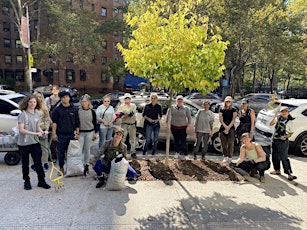 Street Tree Care: Celebrating Arbor Day with City Council Member Marte!