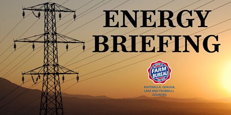Energy Briefing primary image