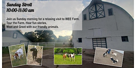 Sunday Stroll: Meet The Animals + Farm History