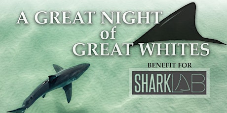 GREAT NIGHT of GREAT WHITE SHARKS in Santa Barbara