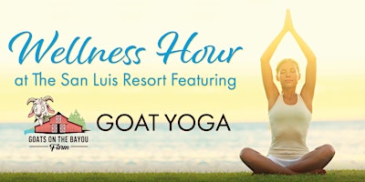 Goat Yoga at The San Luis Resort primary image