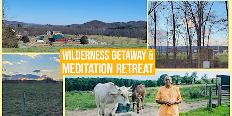Wilderness Getaway & Meditation Retreat