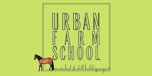 Mini Horse Camp with Never Ending Farm primary image