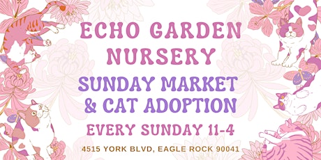 Sunday Market and Cat Adoption