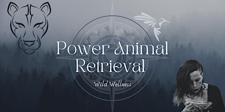Shamanic Journey and Power Animal Retrieval