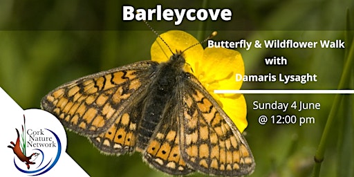 Butterfly & Wildflower Walk primary image