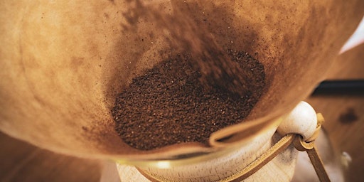 Image principale de Découverte du café de spécialité, du producteur à la tasse (dégustation)