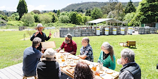 Honey Tasting and Apiary Tour primary image