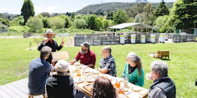 Imagem principal do evento Honey Tasting and Apiary Tour